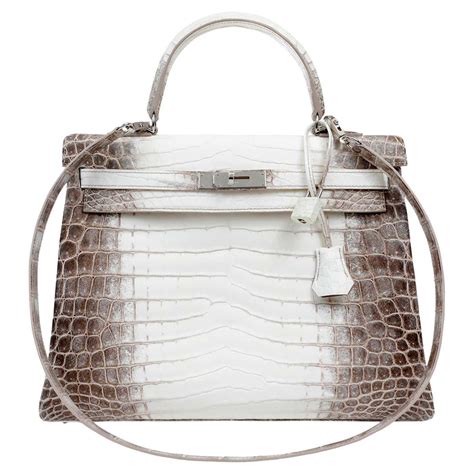 kelly himalayan hermes
